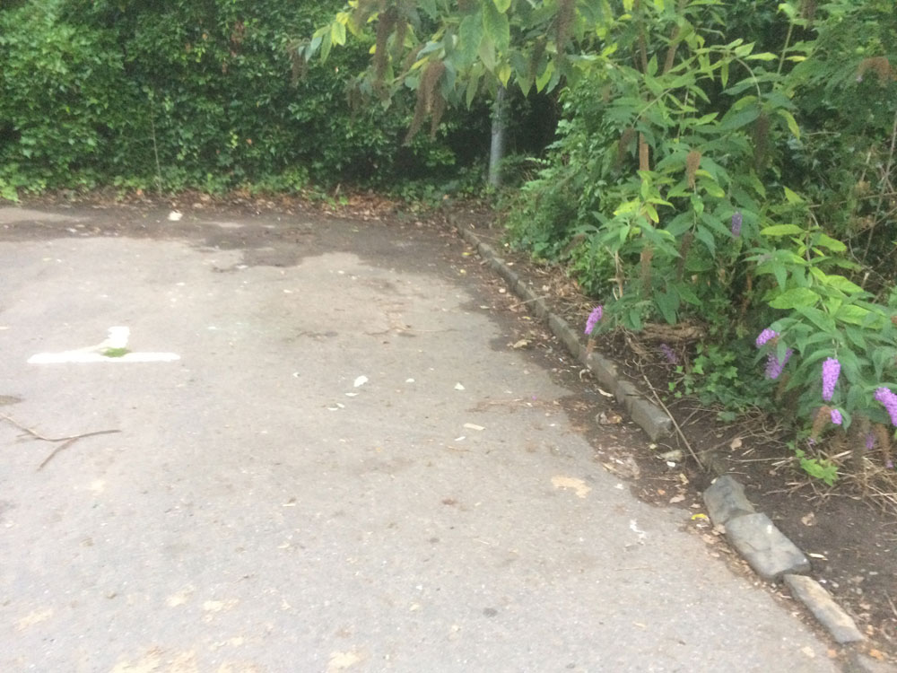 Completing the August litter pick at Mill Brae