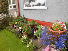 Garden competition winner 2014