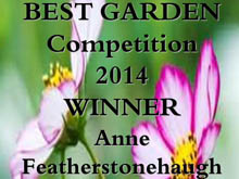 Winner´s certificate 2014